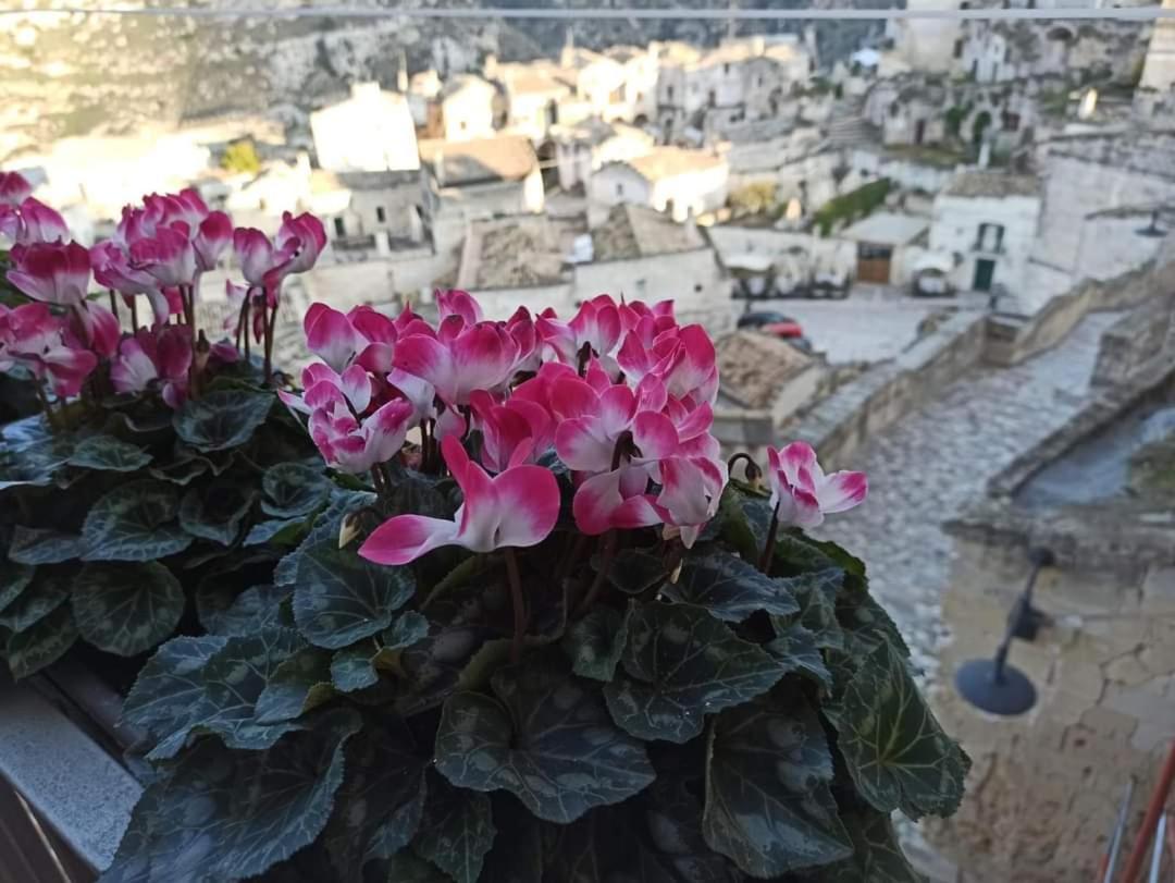 Slow Living B&B Matera Dış mekan fotoğraf